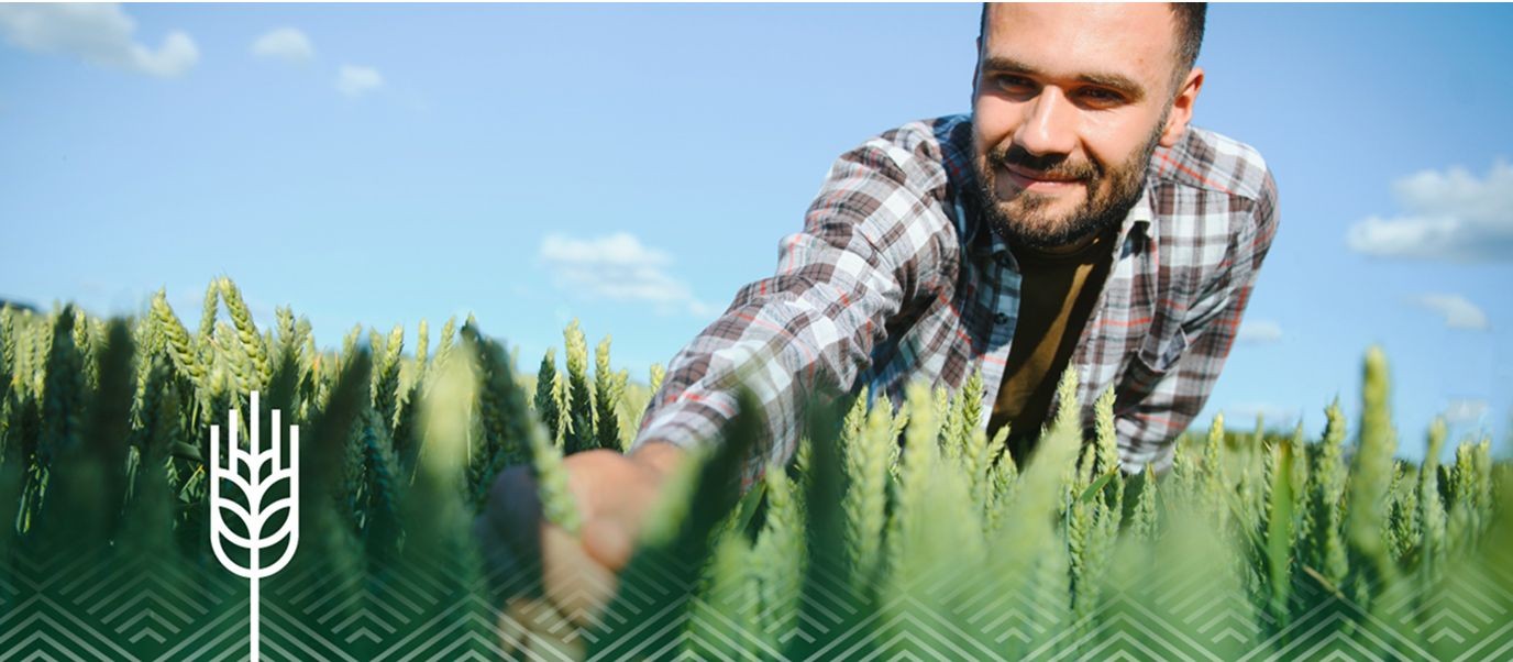 Kwalifikowany materiał siewny zbóż