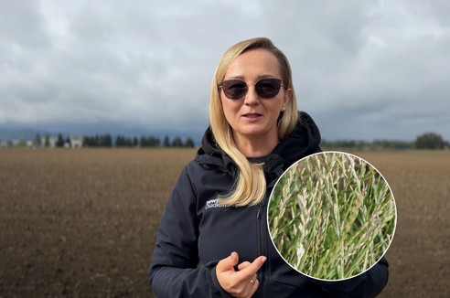 News Osadkowski odcinek 73