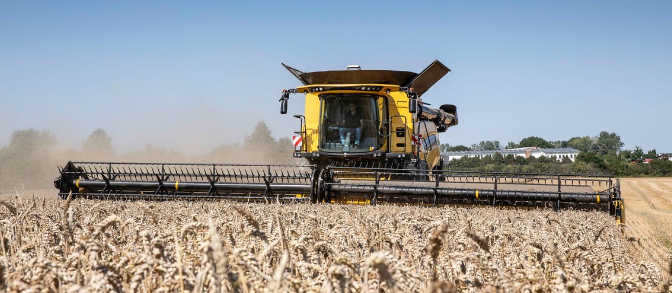 Skup płodów rolnych w Osadkowski