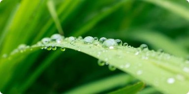 Nawozy dolistne od Osadkowski.pl