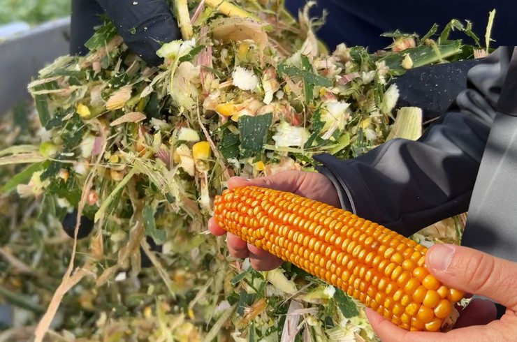 News Osadkowski odcinek 70