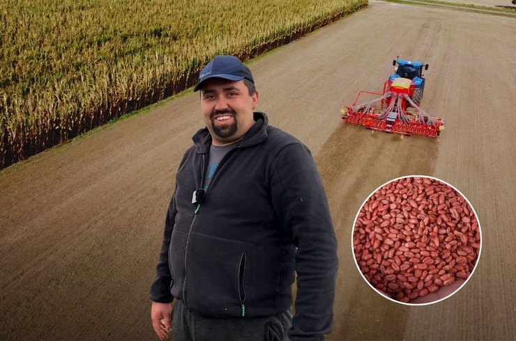 News Osadkowski odcinek 71