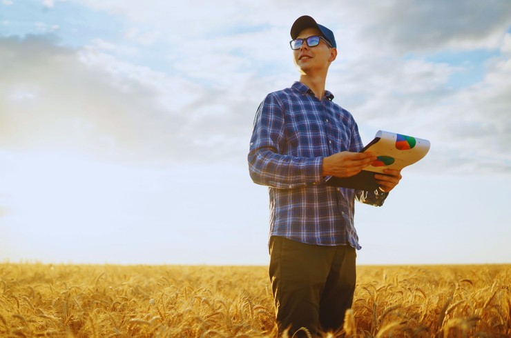 Rynek zbóż wrzesień 2025 – napięcia związane z relacją cen do kosztów produkcji