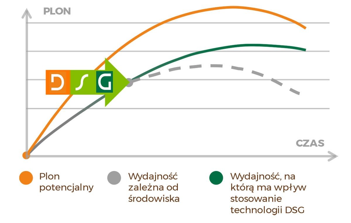 Wpływ technologii DSG na rozwój rośliny